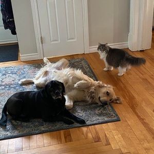 Meet your Posher, Angela